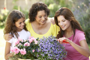 Mother's Day Flowers